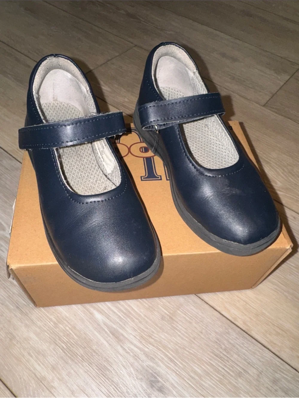 School Issue Navy Mary Jane Shoes with Strap